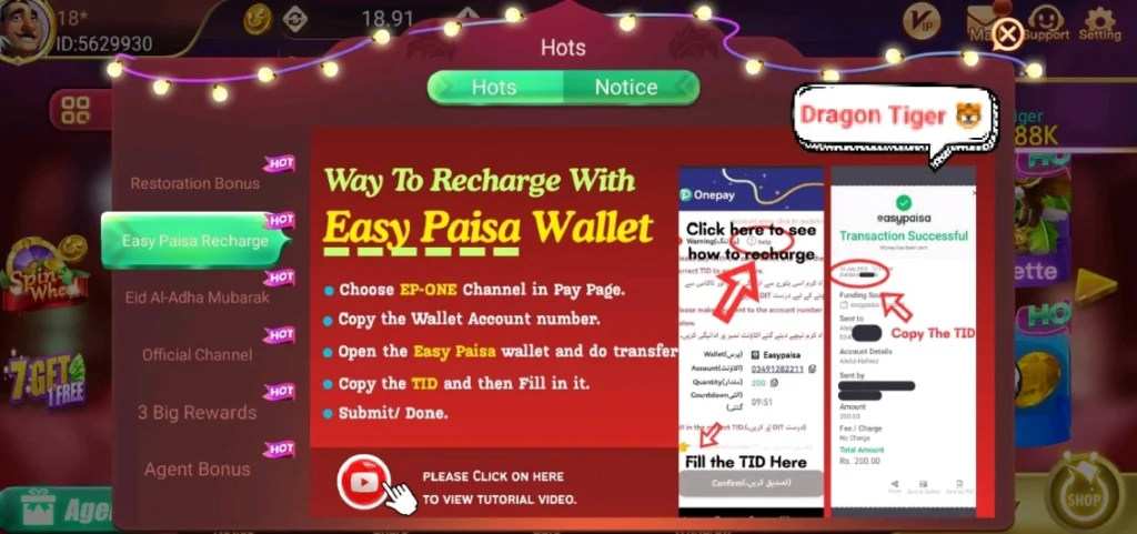 Dragon Tiger Club Deposit Way